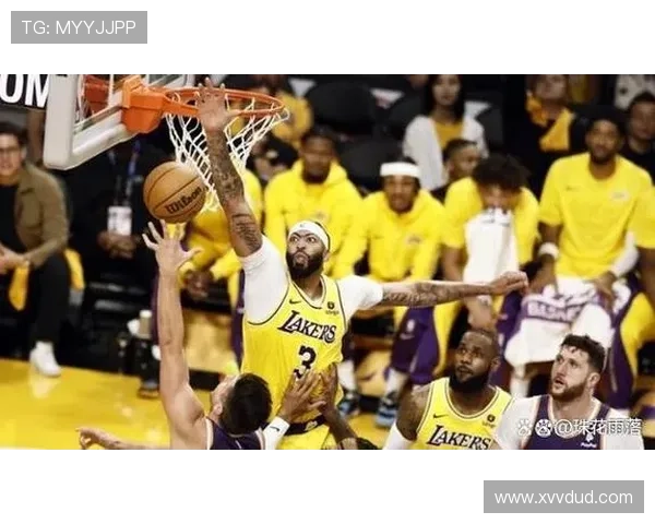 NBA最新动态：詹姆斯领衔湖人逆袭勇士，杜兰特带领太阳挑战西部强敌